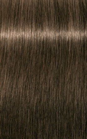 B80101204.jpg